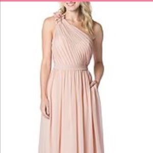 Bari jay blush timeless elegant gown